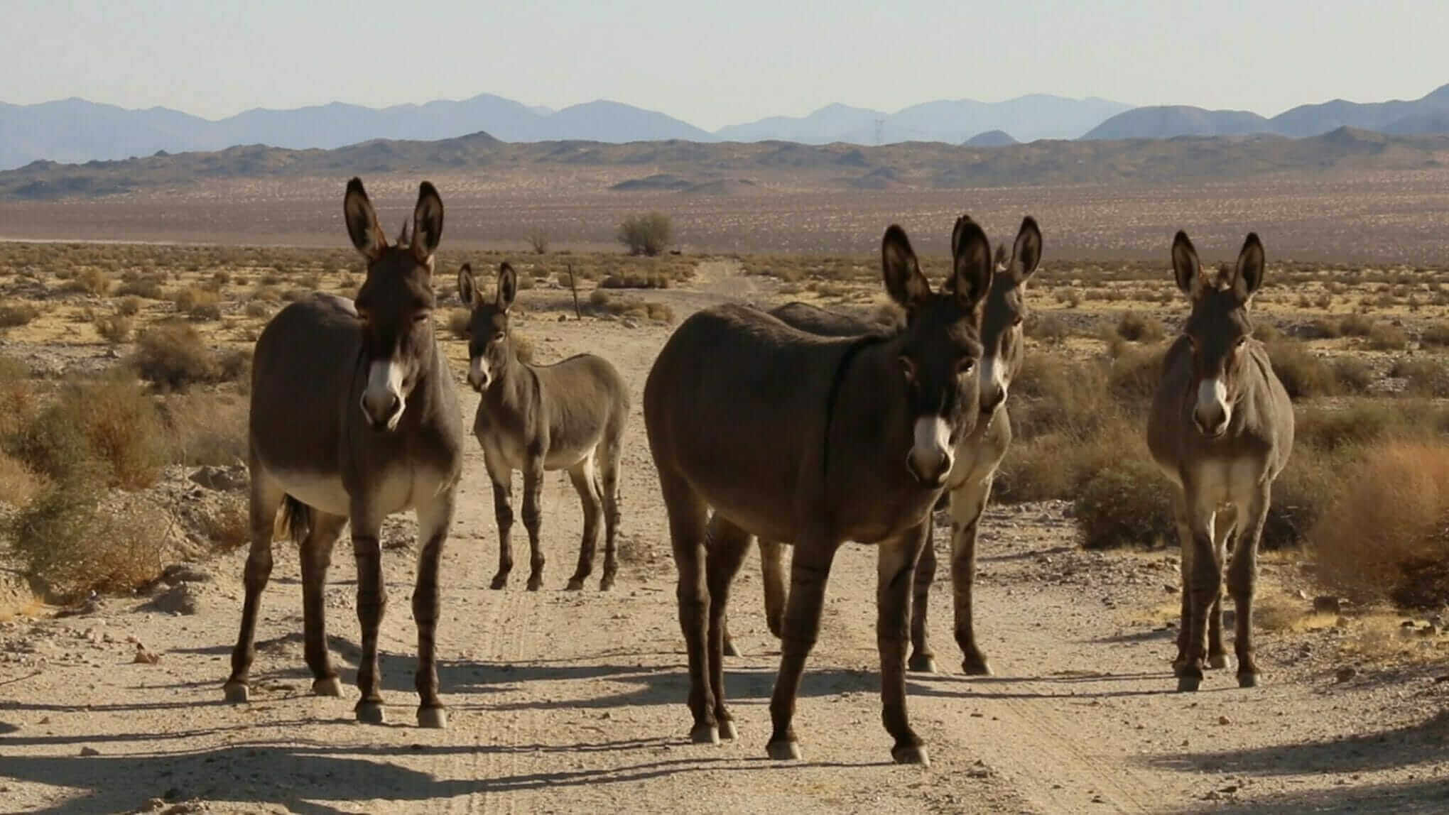 the outwaters movie 2022