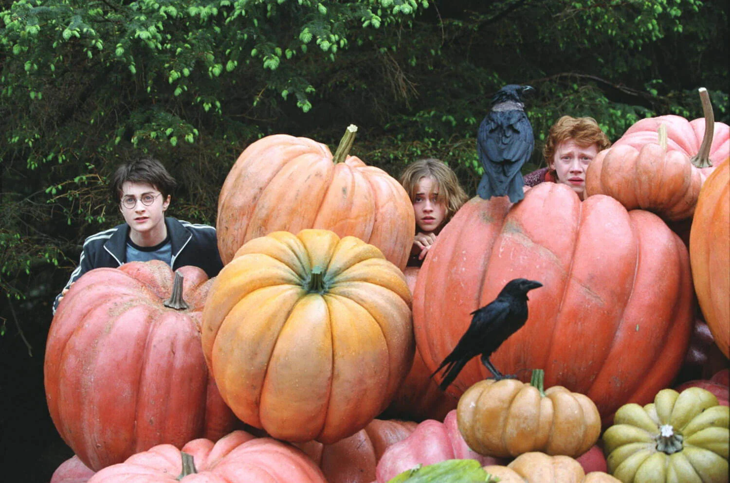 harry potter and the prisoner of azkaban movies set in pumpkin patches Grim Grinning Gourds: 10 Must-Watch Pumpkin Patch and Jack-o'-Lantern Films 14 harry potter and the prisoner of azkaban movies set in pumpkin patches