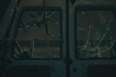 INFESTED (2024) Spiders in The Van