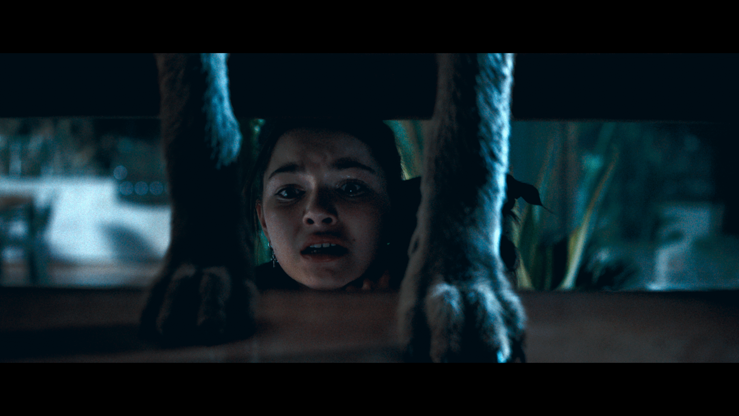 COYOTES Mila Harris Courtesy of AURA Entertainment scaled